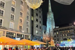 Viena-Christams-market-3