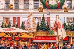 Viena-Christams-market-7