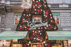 Viena-Christams-market-8