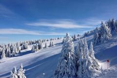 KOPAONIK-800-600