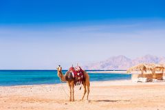 fun things to do in Hurghada, Egypt