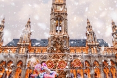 Viena-new-year-3