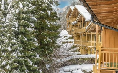 Apartment Lux – Viehhofen-Saalbach, Австрија  2025