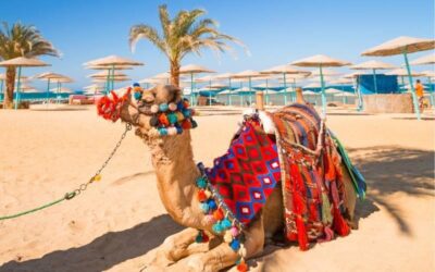 ХУРГАДА – 2026