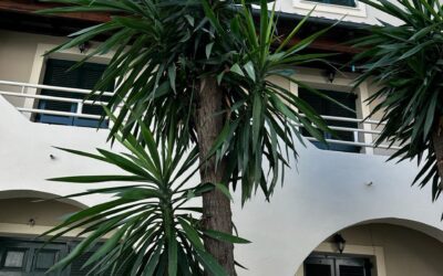 Вила Михалис Ипсос 2026